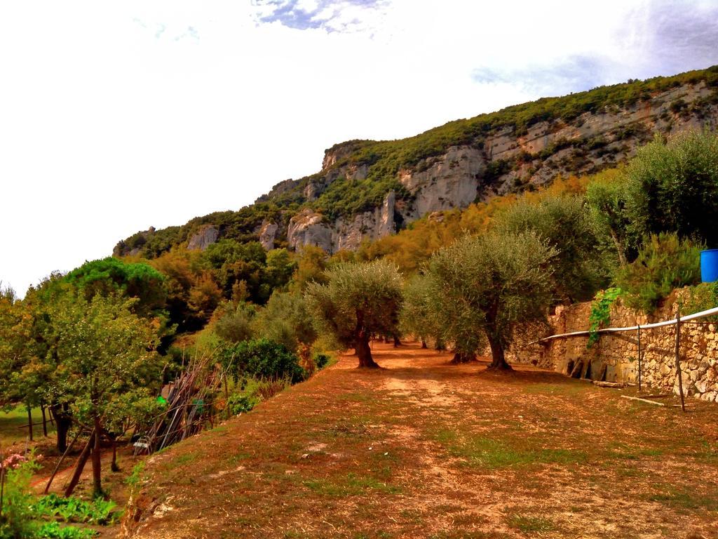 Agriturismo Ca' Magli Villa Orco Feglino Exteriör bild